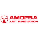 Amoeba