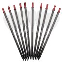 REVO7 Heavy Bolts Carbon 10 pcs