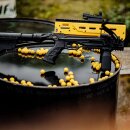 Steambow AR-Series B08 Tactical Kal. .68