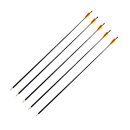 Black Bolt Fiberglaspfeil 30 Zoll, 5 St.
