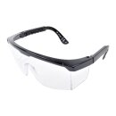 Royal Schutzbrille Transparent Standard
